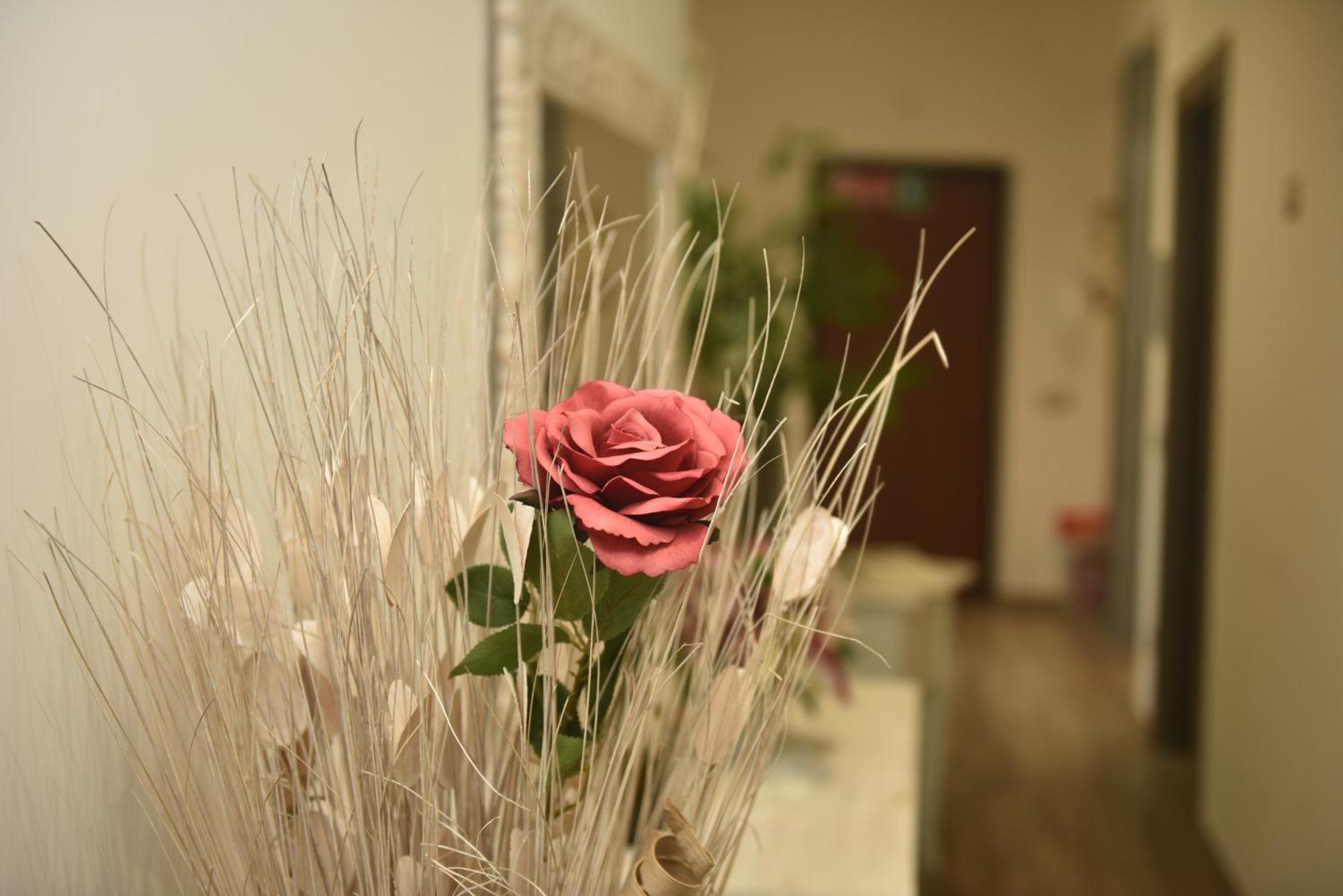 Bed and Breakfast In Terrazza Da Giusy Rom Exterior foto
