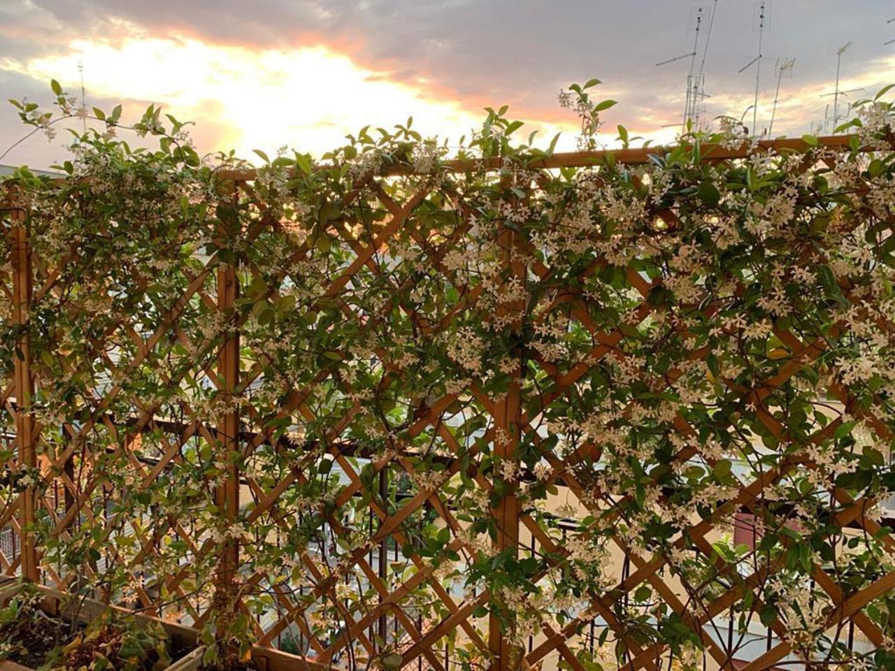 Bed and Breakfast In Terrazza Da Giusy Rom Exterior foto